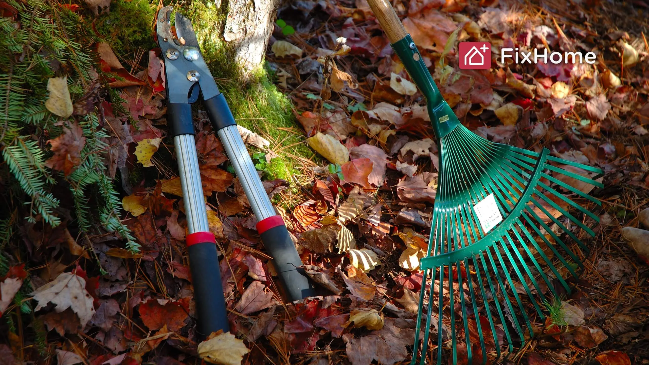 Tools for yard clean up