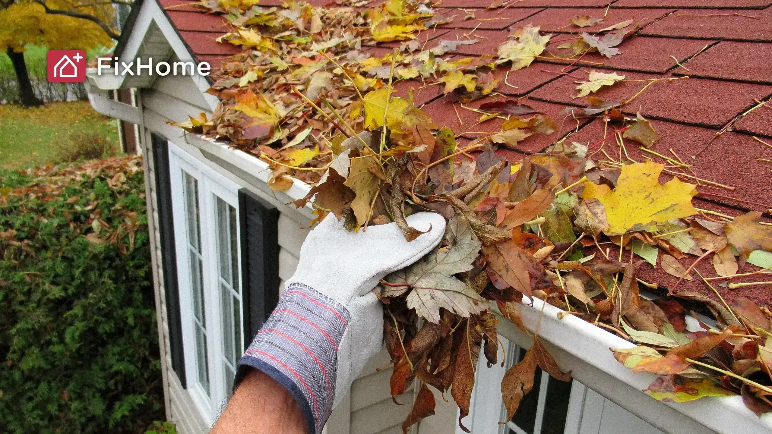 Gloved hand cleaning leaves from a clogged gutter during fall.
