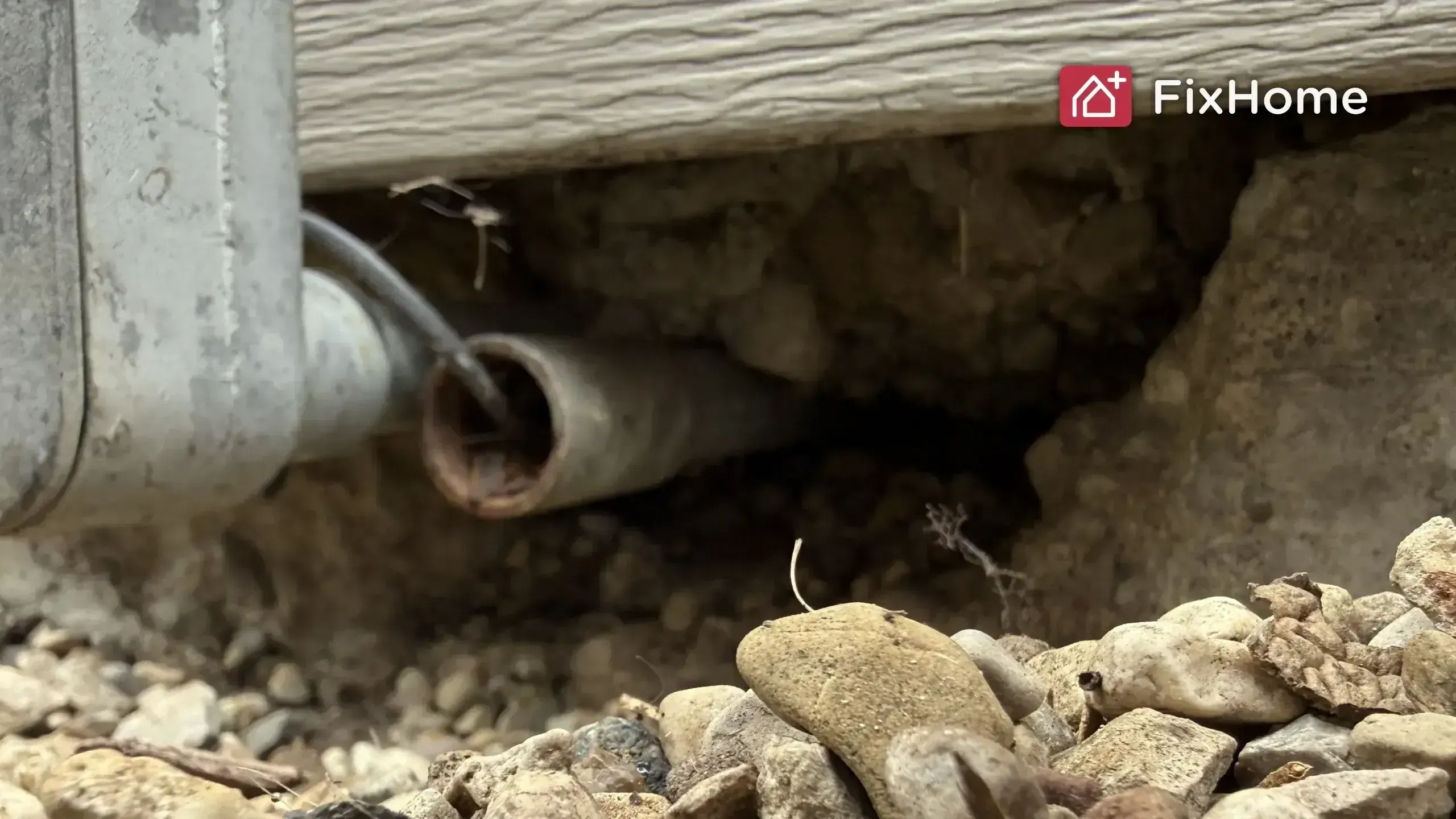 Close-up of rocky ground, a pipe, and an opening behind it under the house.