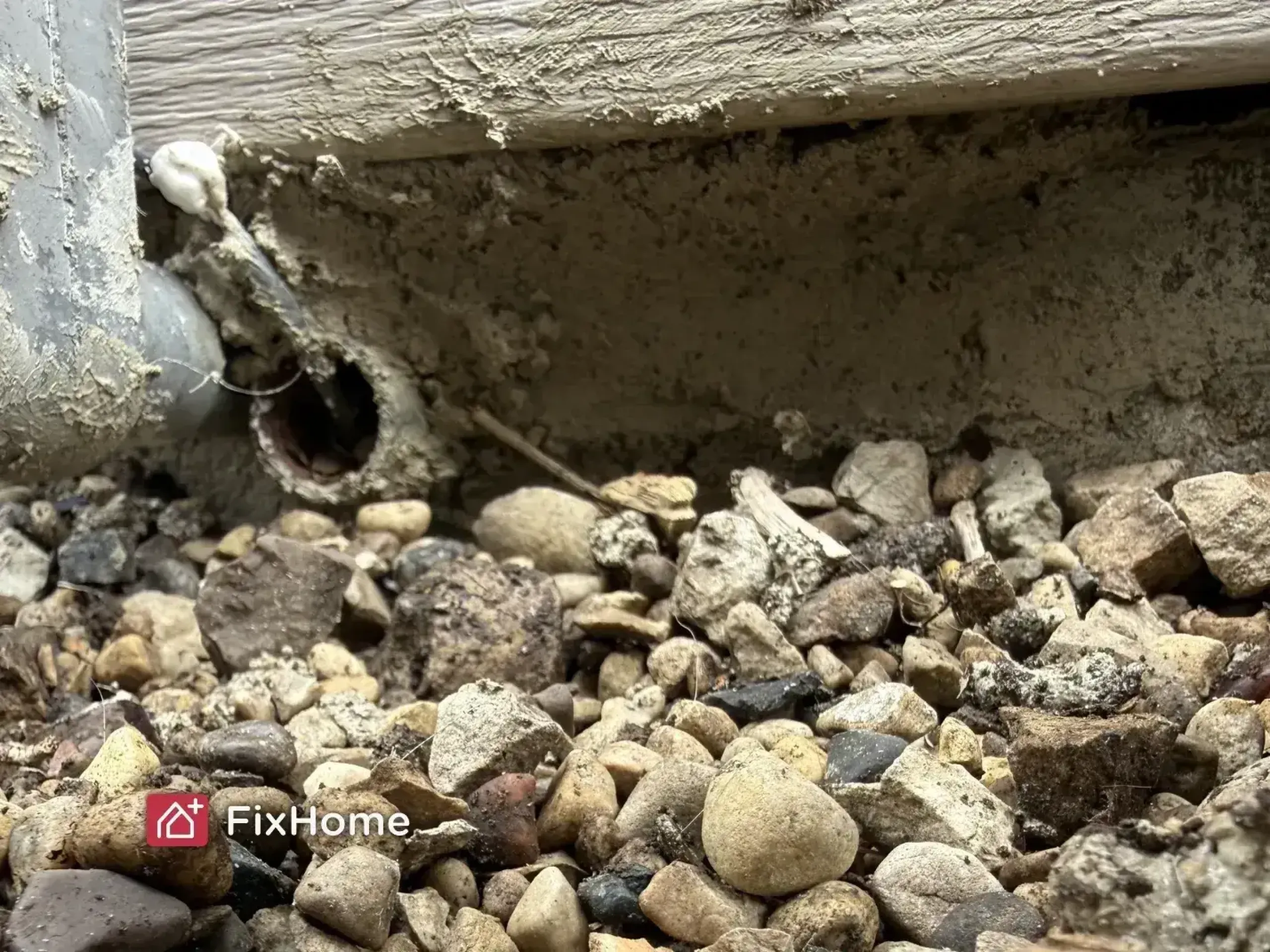 Close‑up of a foundation opening being sealed for pest protection