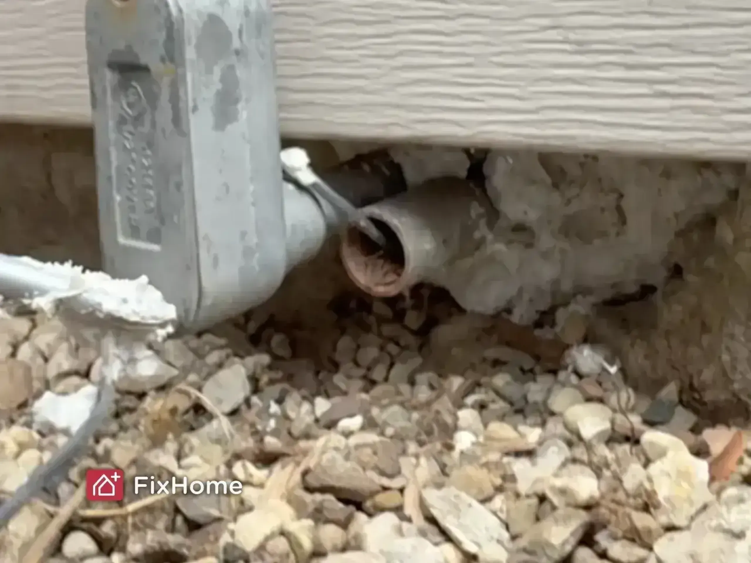 Pestblock foam is being used to seal a gap under a house wall