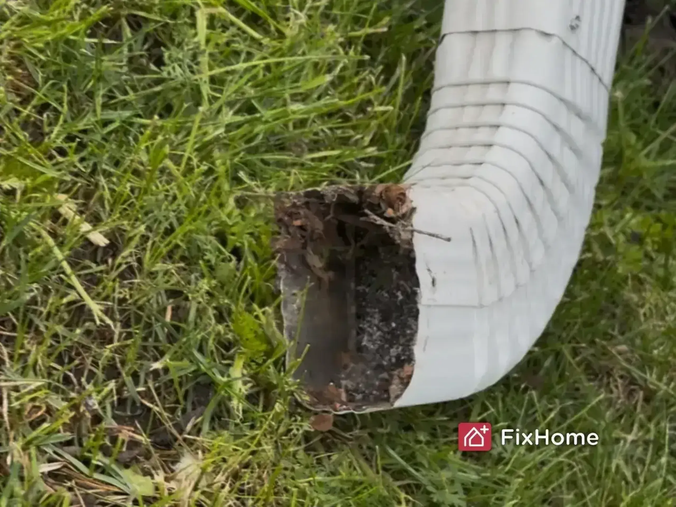 Clogged downspout elbow packed with compacted debris and leaves