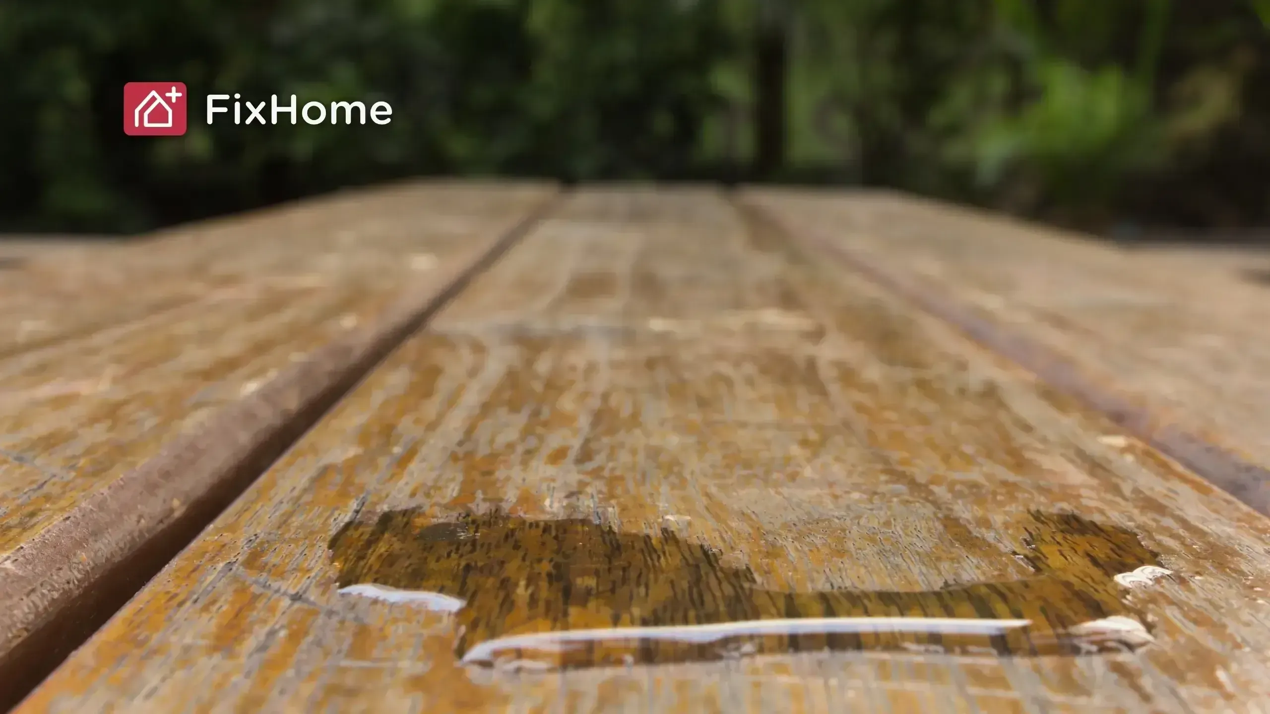 Beads of water pooling on a weathered wooden deck